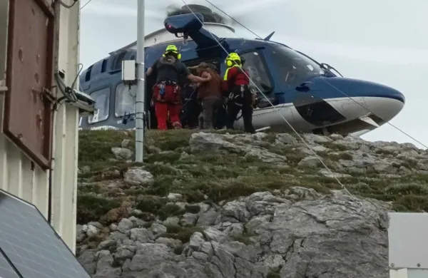 Pogre&scaron;ani Postojnčan je jedel jagode in bežal pred medvedom
