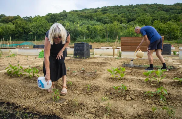 Urbani vrtovi: Poleg svežih cuket &scaron;e druženje ob gredicah (FOTOGALERIJA)