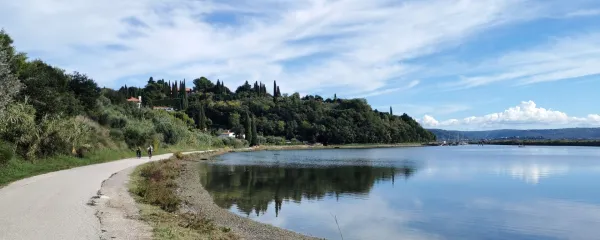 Mimo Ribiča proti meji s Hrva&scaron;ko