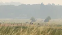 Francija, Seine-et-MarneDim, ki se siri od gozdnega pozara v Fontainebleaujskem gozdu juzno od Pariza.