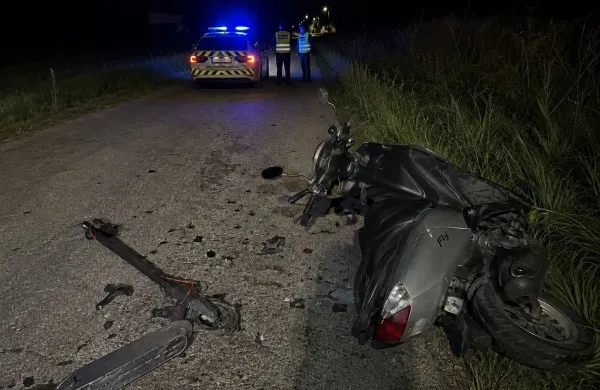 Skuter električni skiro 