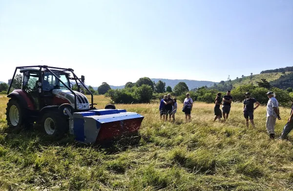 Krtačenje travniki prikaz