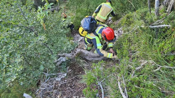 Gasilci vlekli skoraj kilometer cevi