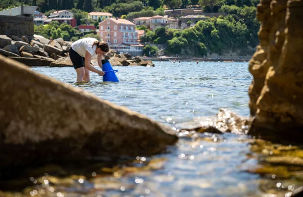 Slovensko morje bo hvaležno za dodatne oči