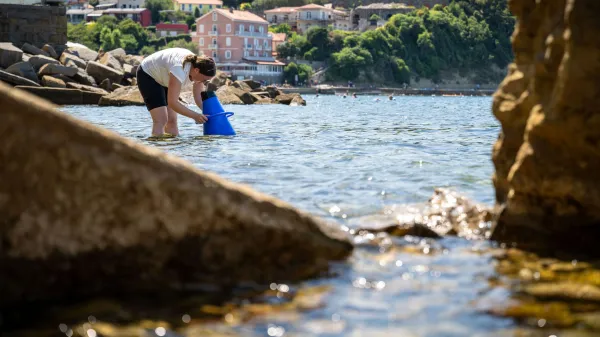 Slovensko morje bo hvaležno za dodatne oči