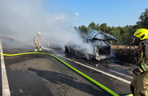 Včeraj okoli 18. ure je zagorelo vozilo na cesti med Petrinjo in izvozom za Socerb.