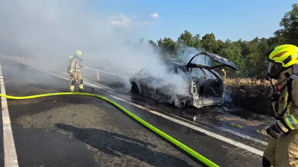 Včeraj okoli 18. ure je zagorelo vozilo na cesti med Petrinjo in izvozom za Socerb.