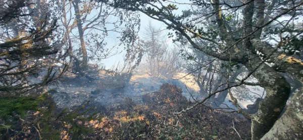 Gasilci nadaljujejo z ga&scaron;enjem obsežnega požara na Planji na Bov&scaron;kem.