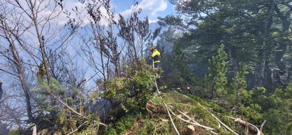 Gasilci nadaljujejo z ga&scaron;enjem obsežnega požara na Planji na Bov&scaron;kem.