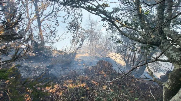 Gasilci nadaljujejo z ga&scaron;enjem obsežnega požara na Planji na Bov&scaron;kem.