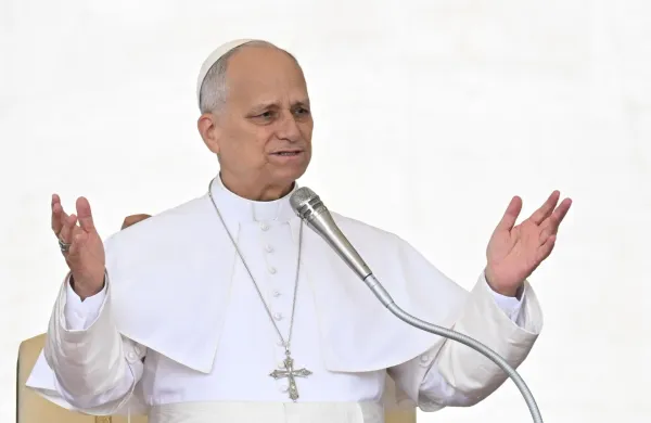 Papež Leon XIV.