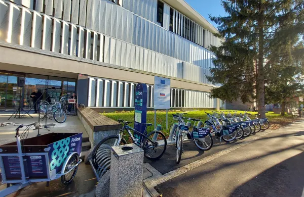 V Novi Gorici javna kolesa vse pogosteje tarča vandalov
