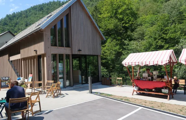 Divja bajta ponuja od kamenin in zelenih doživetij do vzgoje