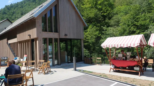 Divja bajta ponuja od kamenin in zelenih doživetij do vzgoje