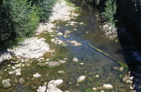 Rižana, 19.07.2022su&scaron;a, pomanjkanje vode, reka Rižana, izvir reke Rižane,skoraj suha striga Rižane