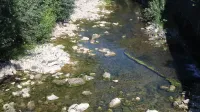 Rižana, 19.07.2022su&scaron;a, pomanjkanje vode, reka Rižana, izvir reke Rižane,skoraj suha striga Rižane