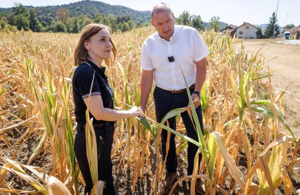 Državna sekretarka na ministrstvu za kmetijstvo Mojca Erjavec in predsednik KGZS Jože Podgor&scaron;ek sta si ogledala posledice su&scaron;e v Ljubljani in okolici.