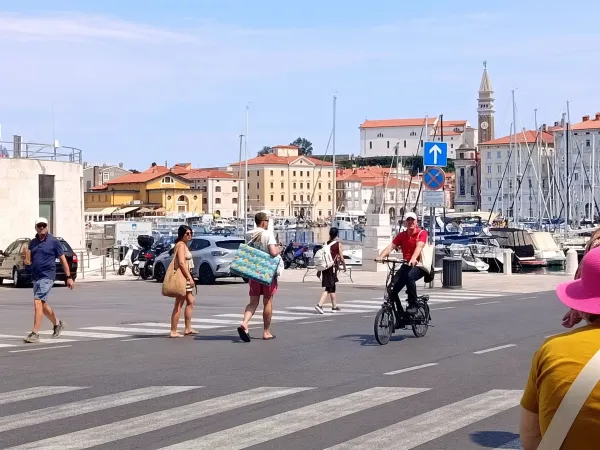Piran, mandrač, poletje, turizem, plaže