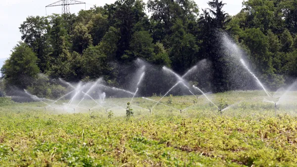 Slovenija,Medvode,09.07.2026, 09 julij 2026 Zalivanje polja, kmetijstvo, voda, su&scaron;a, vročina, zalivanje, kmetijska zemlji&scaron;čaFoto: Borut Živulović/F.A.Bobo