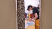 slovenija referendum volitve volilna nedelja &scaron;tetje glasov vililci