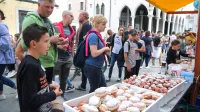 Koper, 24.09.2022Sladka Istra 2022, festival sla&scaron;čic
