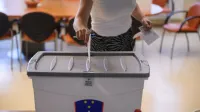 Voililna skrinjica