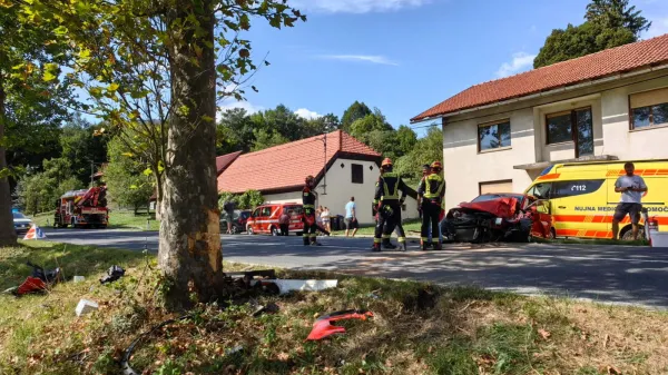 Z avtom v drevo