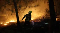 Hrva&scaron;ka Brač, 13.09.2026, 13. september 2026 Za gasilci je &scaron;e ena neprespana noč na otoku Braču, kjer divja velik požar. Narava, turizem, uničenje, gozdni požari, el nino, gasilec, ga&scaron;enje, ogenj, drevesa, borovi gozdovi, gasilska vozila Foto: Ivo Cagalj/PIXSELL/F.A.BOBO