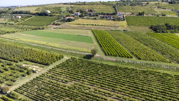 Vanganelska dolina bo prepredena z devetimi kilometri cevi za namakanje