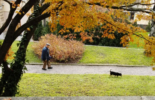 Sprehod starejsega gospoda s psom po parku v starem centru mesta Kamnik. Park, upokojenci, upokojenec, domaca zival, domaci ljubljencek, jesen zivljenja,