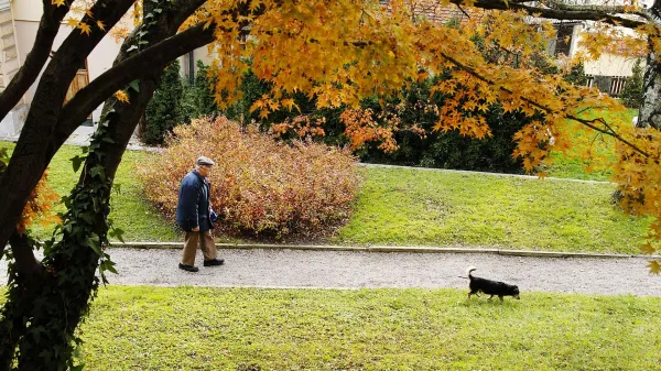 Sprehod starejsega gospoda s psom po parku v starem centru mesta Kamnik. Park, upokojenci, upokojenec, domaca zival, domaci ljubljencek, jesen zivljenja,