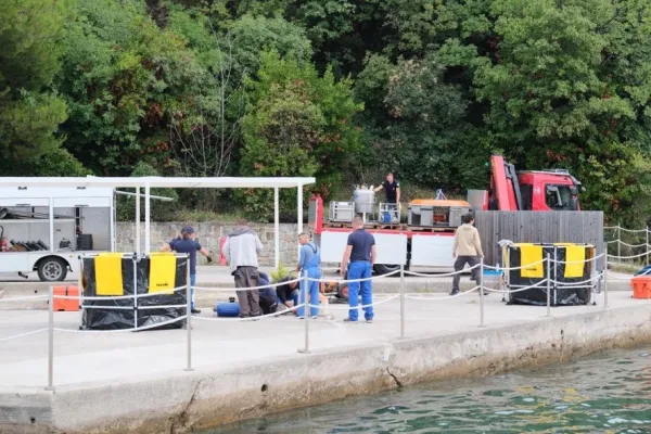 Velika vaja v Koprskem zalivu: madež na morju je živa stvar