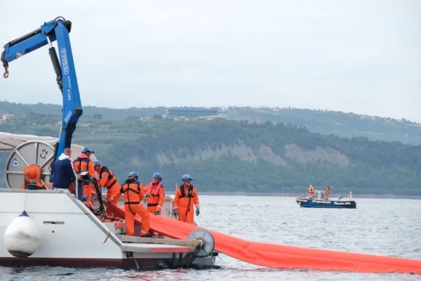 Velika vaja v Koprskem zalivu: madež na morju je živa stvar