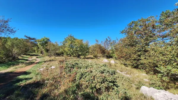 kras kra&scaron;ka gmajna