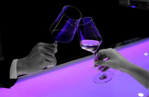 prazniki praznovanje slavje alkohol pitje nazdravljanje zmernost maček 