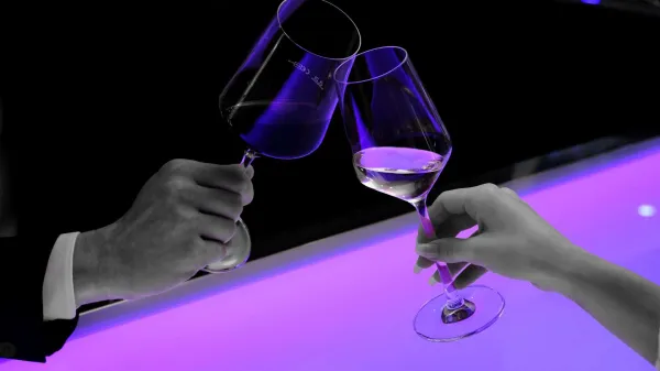 prazniki praznovanje slavje alkohol pitje nazdravljanje zmernost maček 