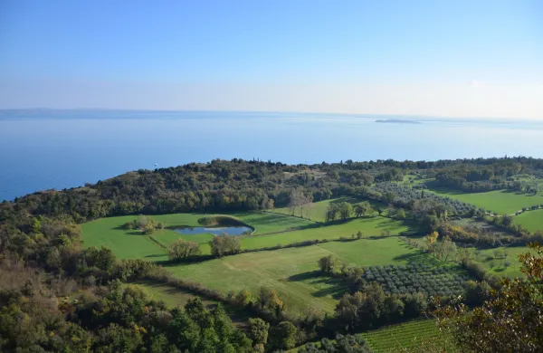 Gardsko jezero