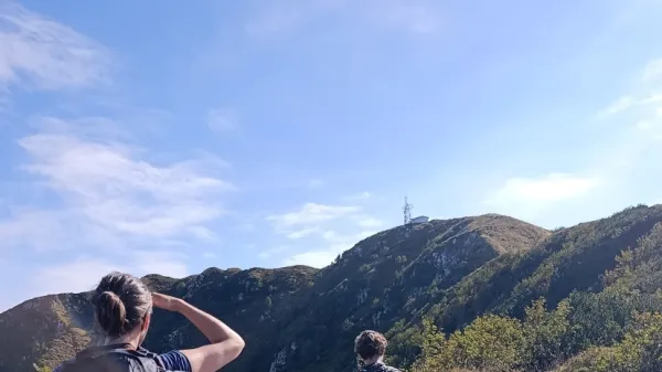 Na Stol na opazovanje sveta ptic
