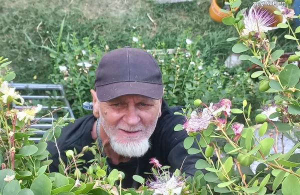 Nekdanji ko&scaron;arkar, ki iz kaper pripravlja piranski pesto