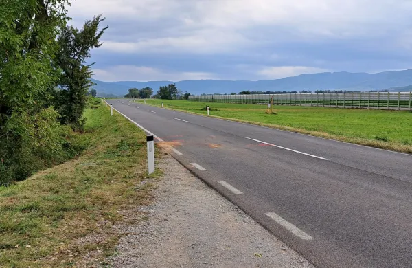 Mlada voznica s polnim avtom čelno v drevo