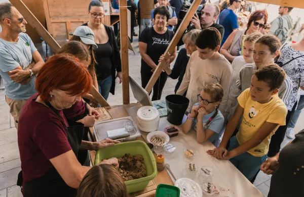 S &scaron;truklji, sirom in friko v Posočju zaokrožujejo poletno dogajanje
