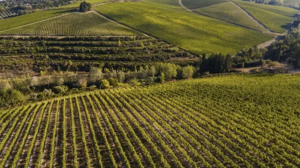 Kraja v kleti Marchesi Antinori, enem največjih vinarjev v družinski lasti v Italiji, se je zgodila v noči na nedeljo, ko se je podjetje pripravljalo na odpremo po&scaron;iljke v tujino. 