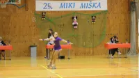 kotalkanje miki mi&scaron;ka Nova Gorica