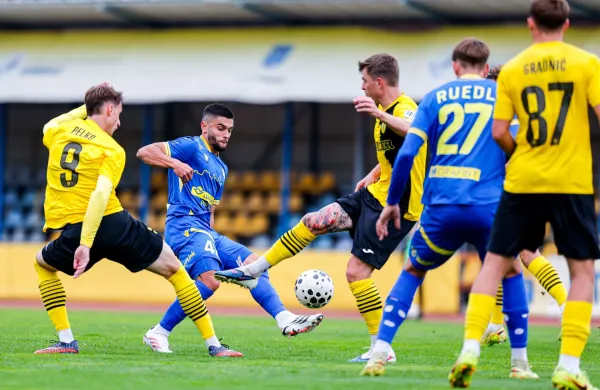 Vijolice cvetijo tudi v slovenski jeseni