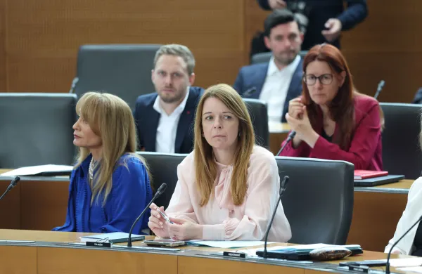 tea ko&scaron;ir, demokrati