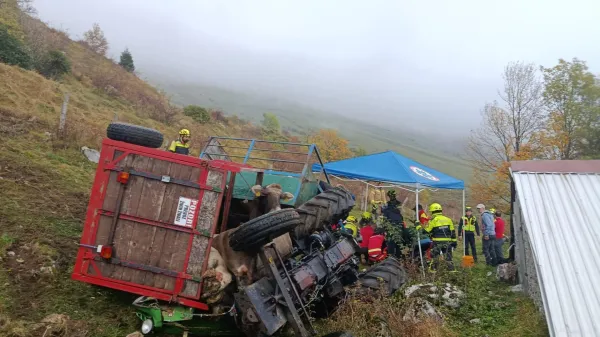 Re&scaron;evali ukle&scaron;čenega voznika in krave
