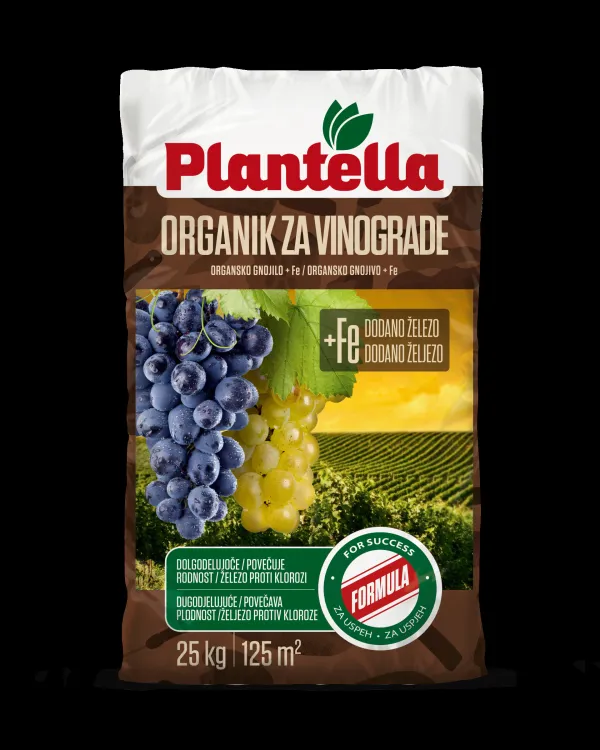 Jeseni trta rabi hranila - naložba v dobro kondicijo