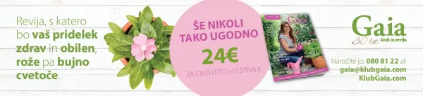 Jeseni trta rabi hranila - naložba v dobro kondicijo