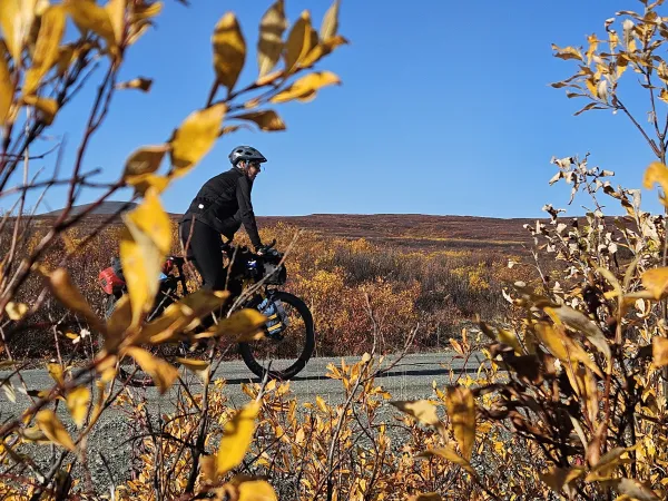 V objemu jesenskih barv, Denali Highway 