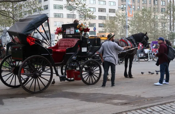 Mestni svet New Yorka je potrdil zakon o prepovedi kočij s konjsko vprego od 1. junija 2028. 
